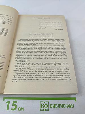 Школьный фразеологический словарь русского языка