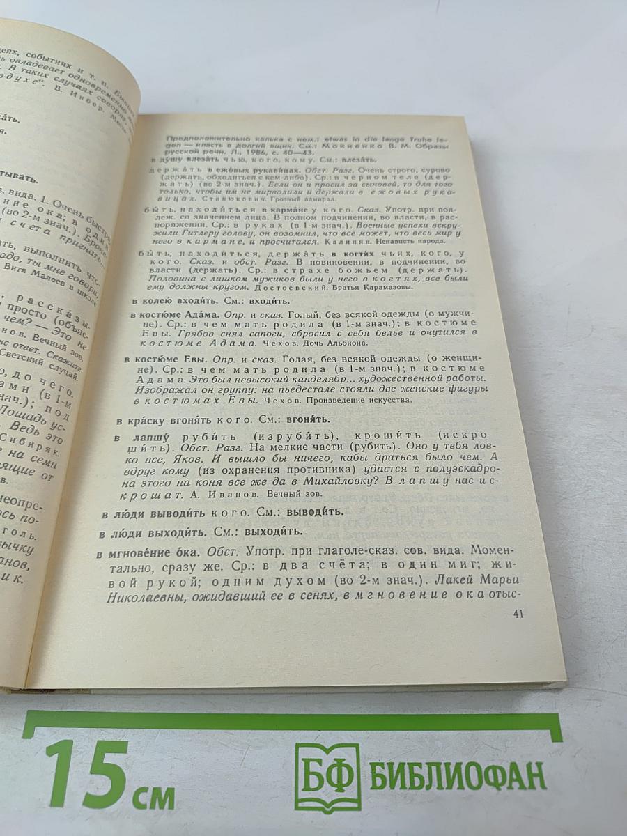 Школьный фразеологический словарь русского языка