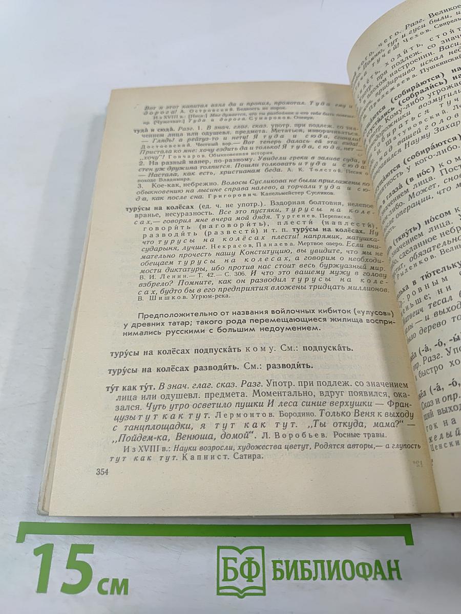 Школьный фразеологический словарь русского языка