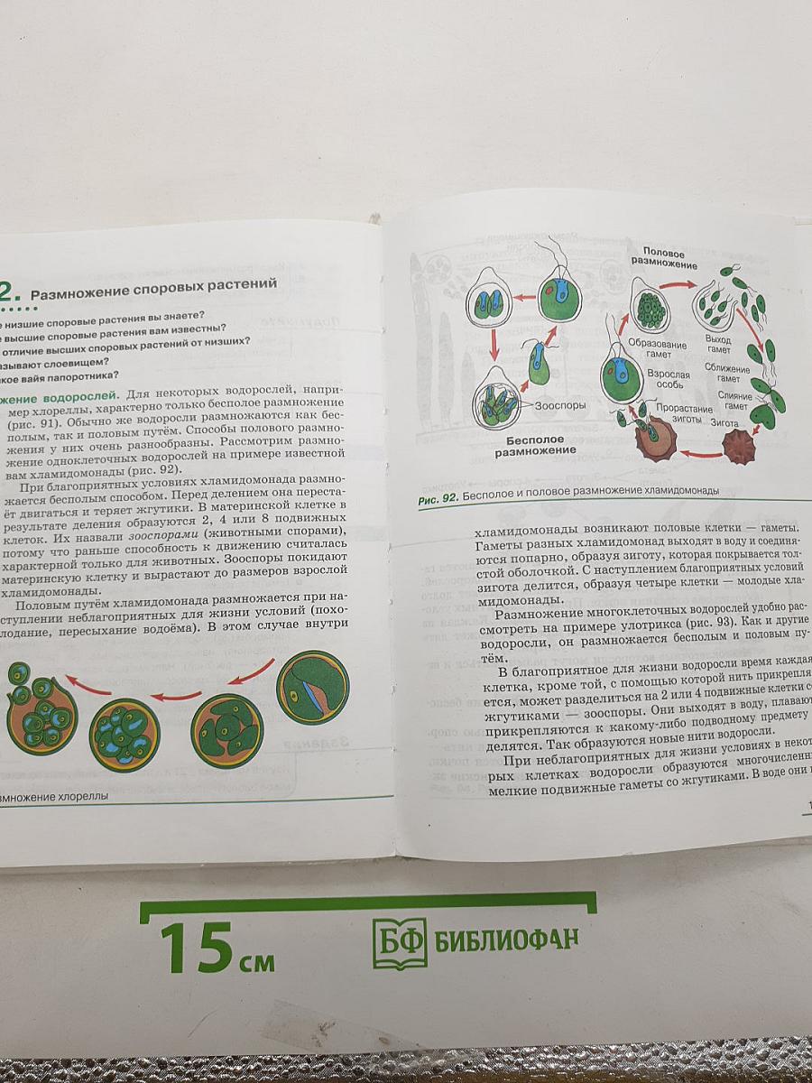 Биология. Многообразие покрытосеменных растений