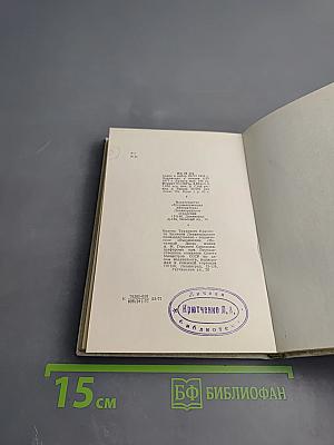 Бедная Лиза