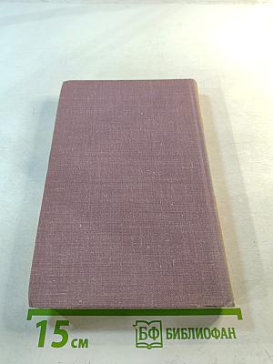 Окна в плитняковой стене