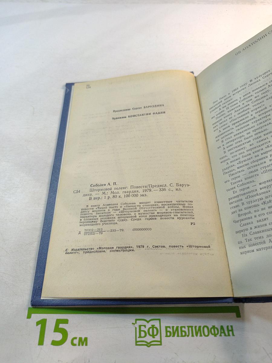 Штормовой пеленг