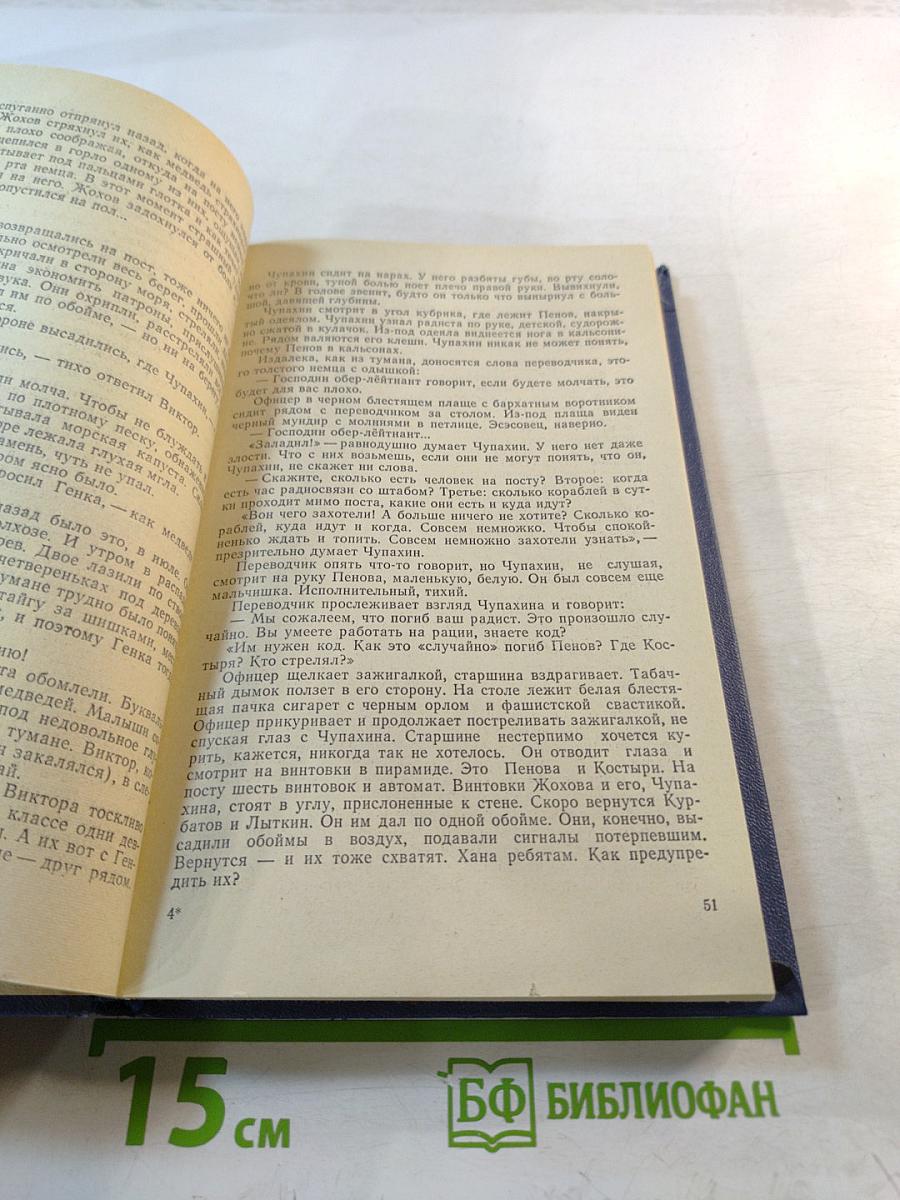 Штормовой пеленг