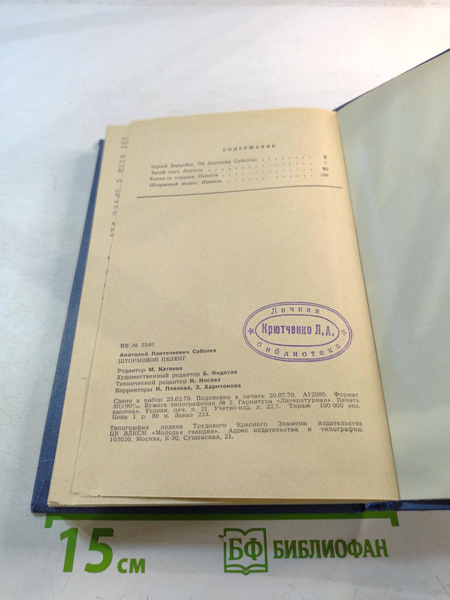 Штормовой пеленг