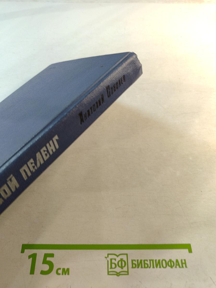 Штормовой пеленг