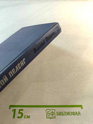 Штормовой пеленг