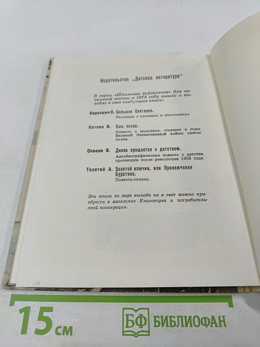 Чук и Гек. Р.В.С. Рассказы