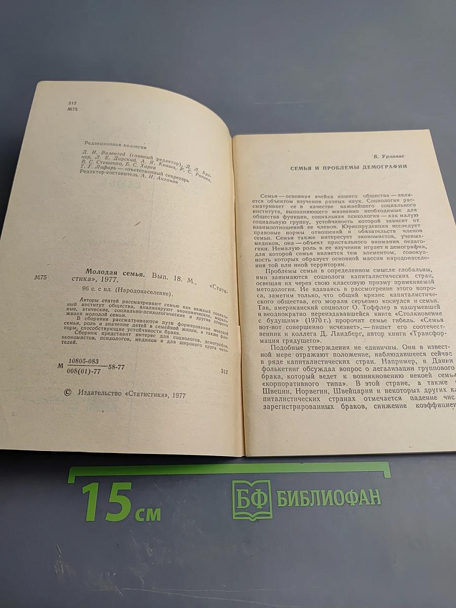 Молодая семья. Выпуск 18