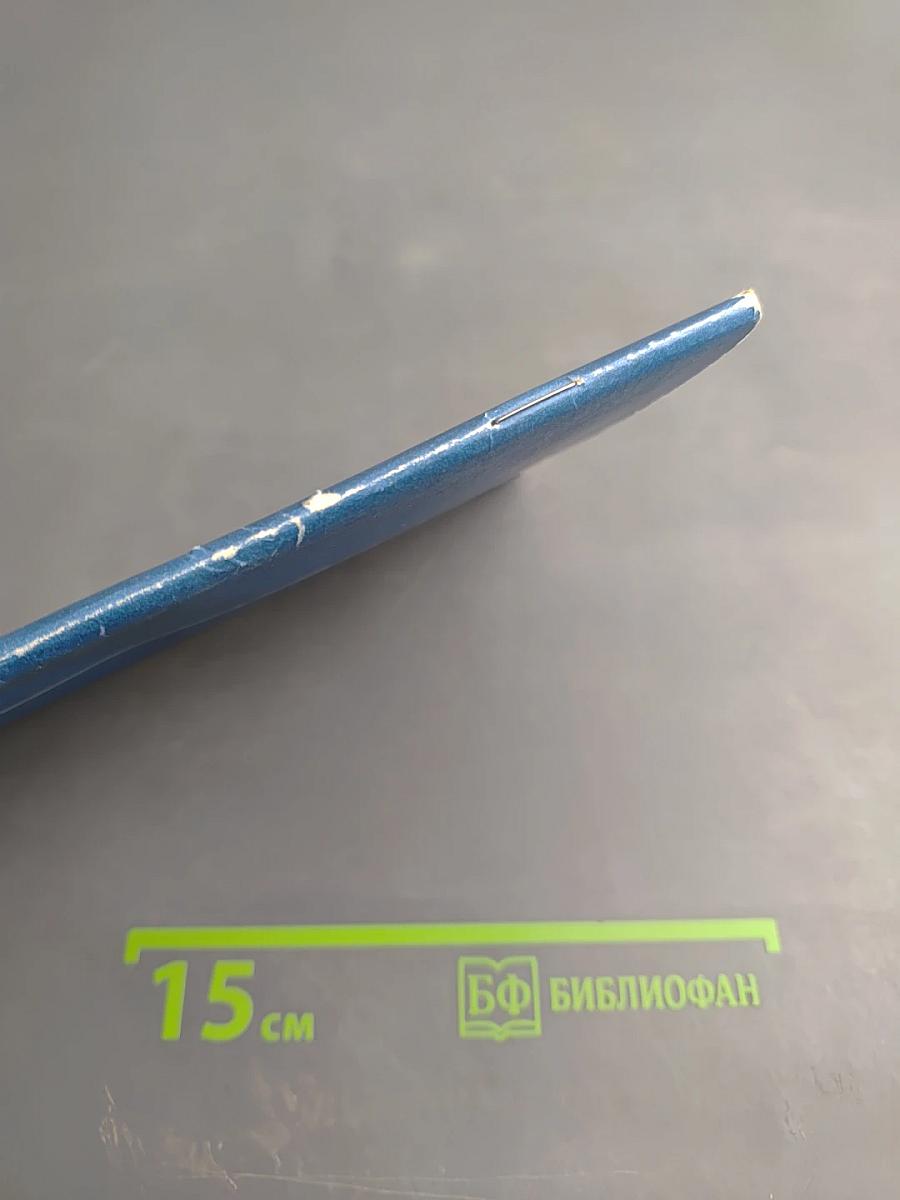 Молодая семья. Выпуск 18