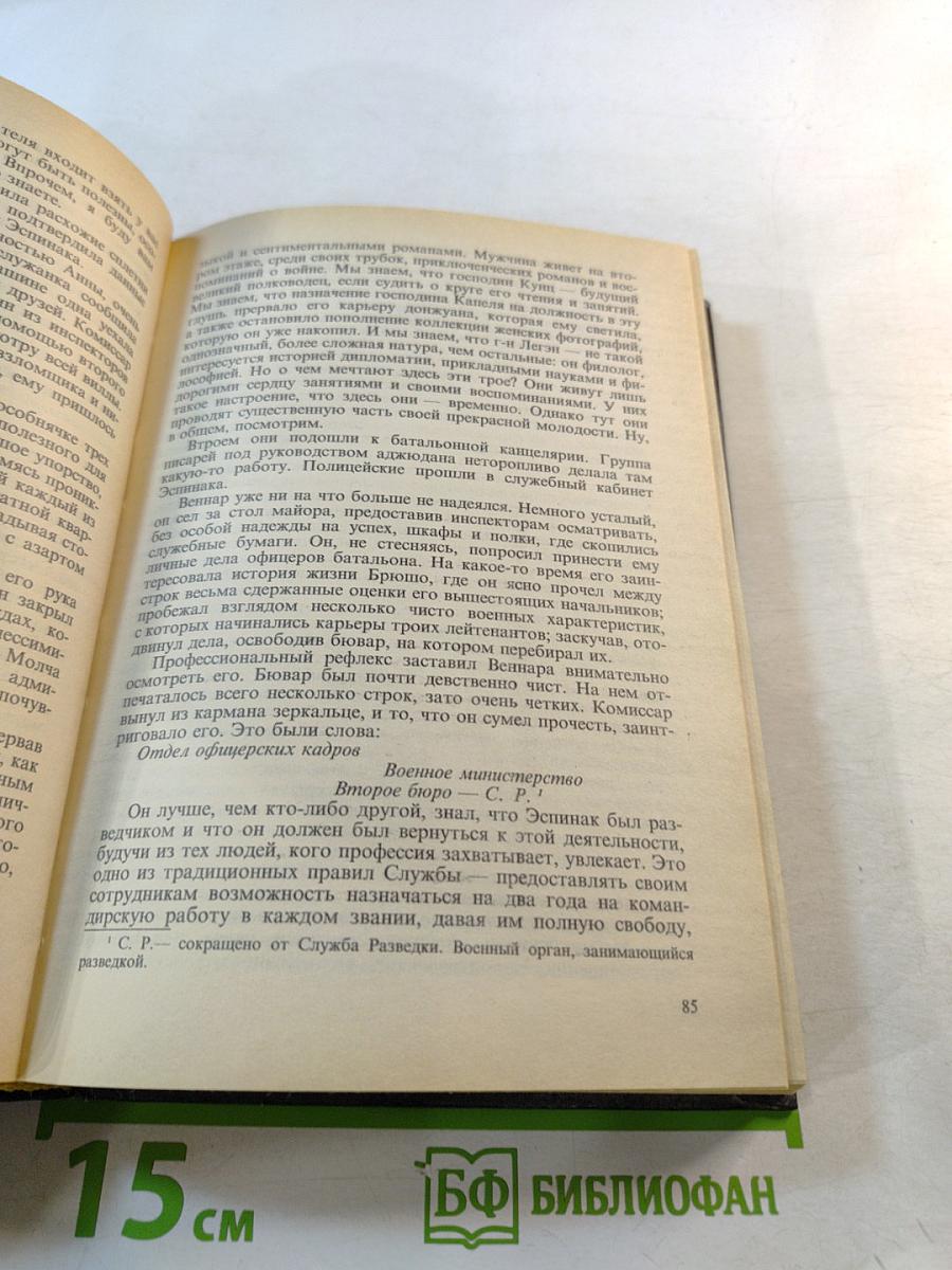 Двойное преступление на линии Мажино. Французский шпионский роман