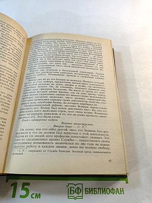 Двойное преступление на линии Мажино. Французский шпионский роман