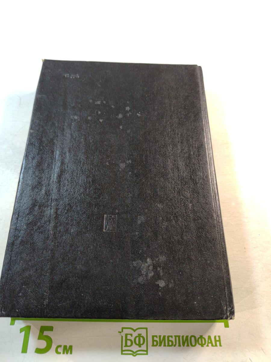 Двойное преступление на линии Мажино. Французский шпионский роман