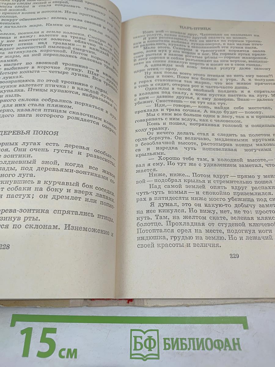 Капли солнца