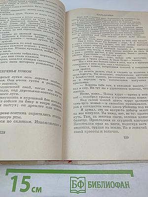 Капли солнца