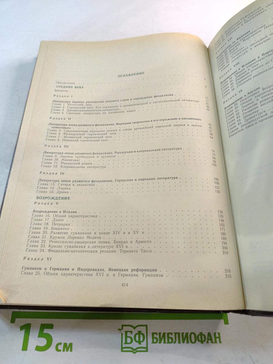 История зарубежной литературы. Средние века и Возрождение