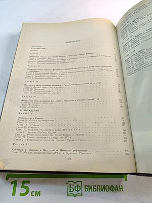 История зарубежной литературы. Средние века и Возрождение