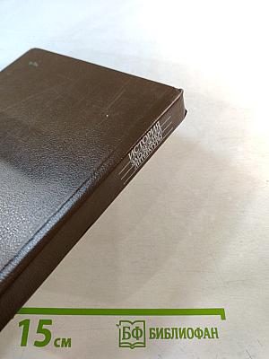 История зарубежной литературы. Средние века и Возрождение