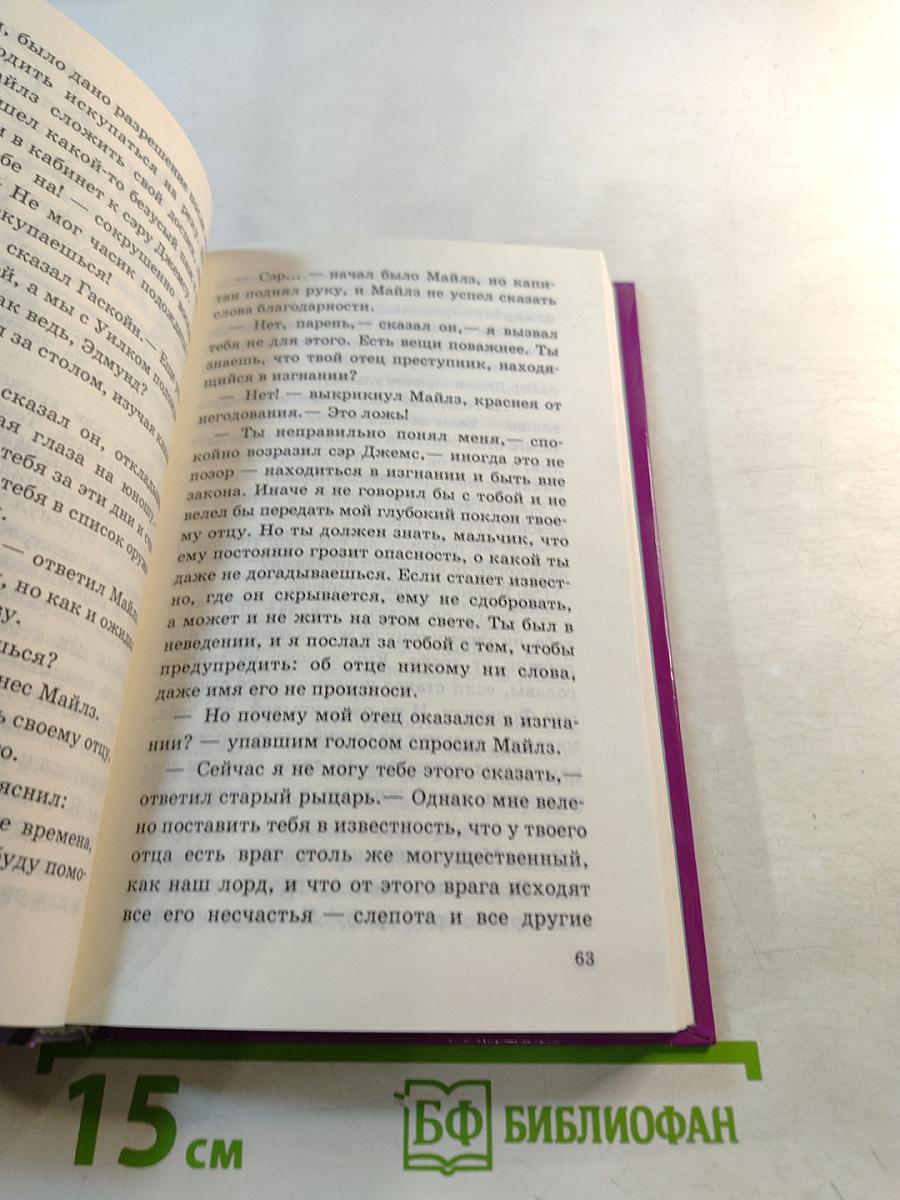 Рыцари, закованные в сталь