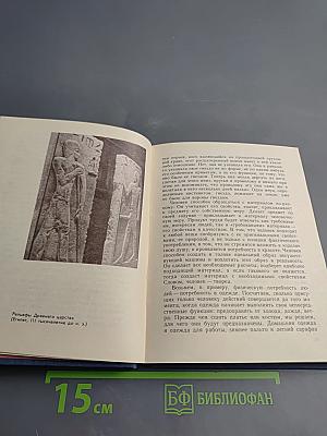 По законам красоты