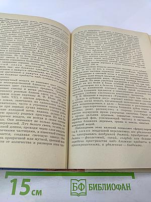 Учебное рисование