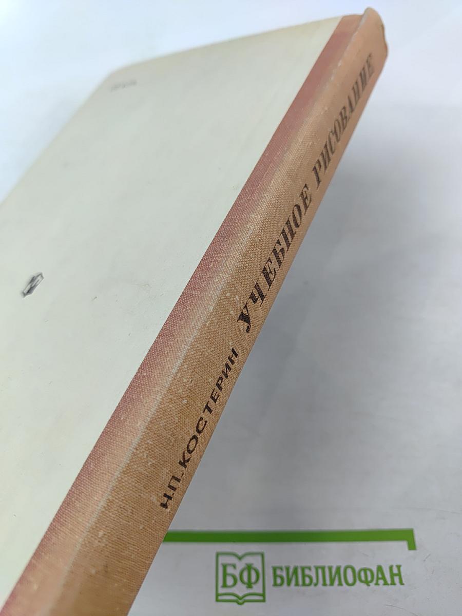 Учебное рисование