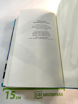 Секретные миссии: Незнакомцы на мосту