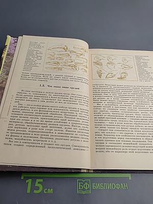 Древнейшие страницы истории человечества для старших классов