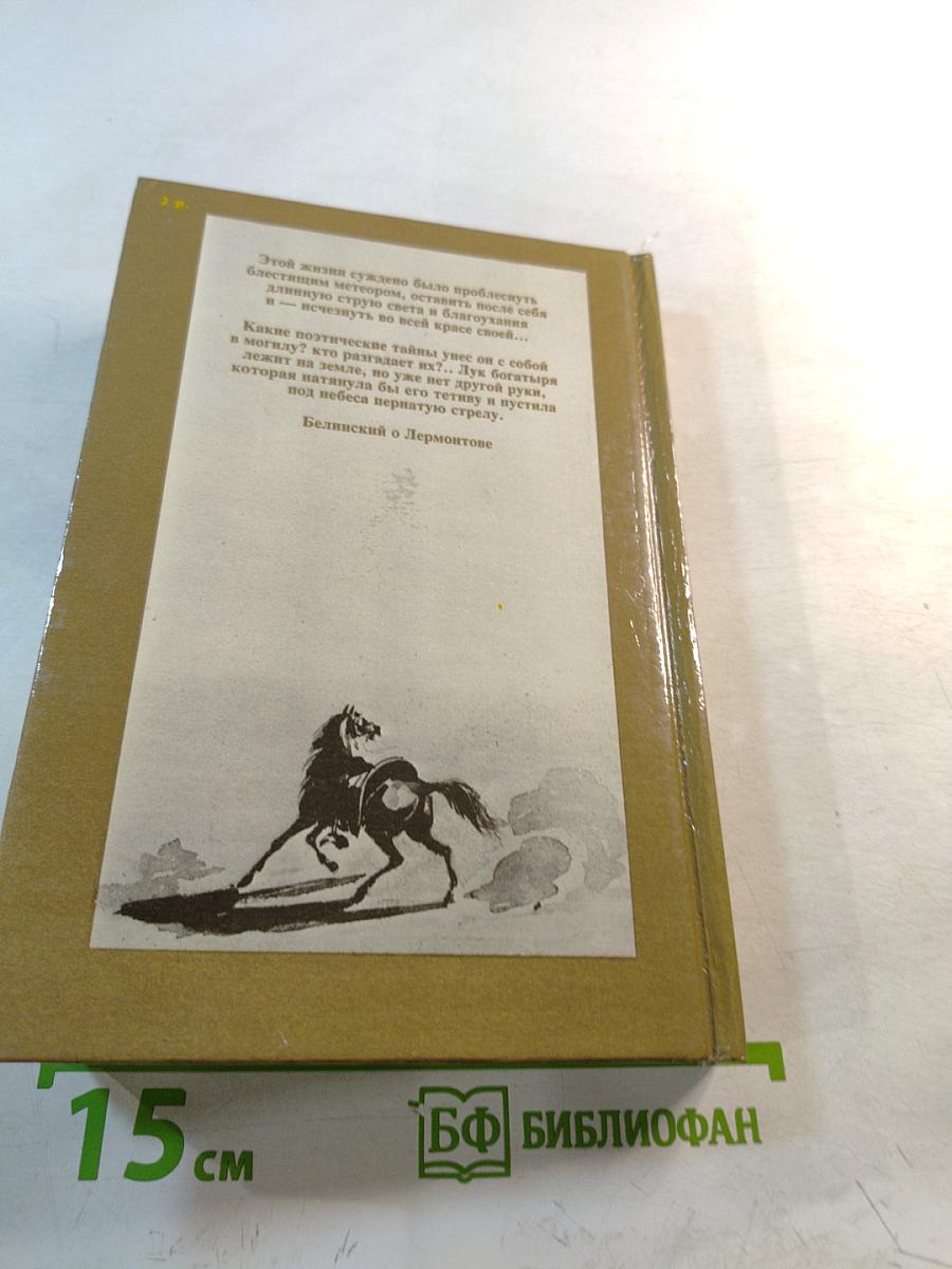 Лермонтов: Знакомясь с биографией поэта...