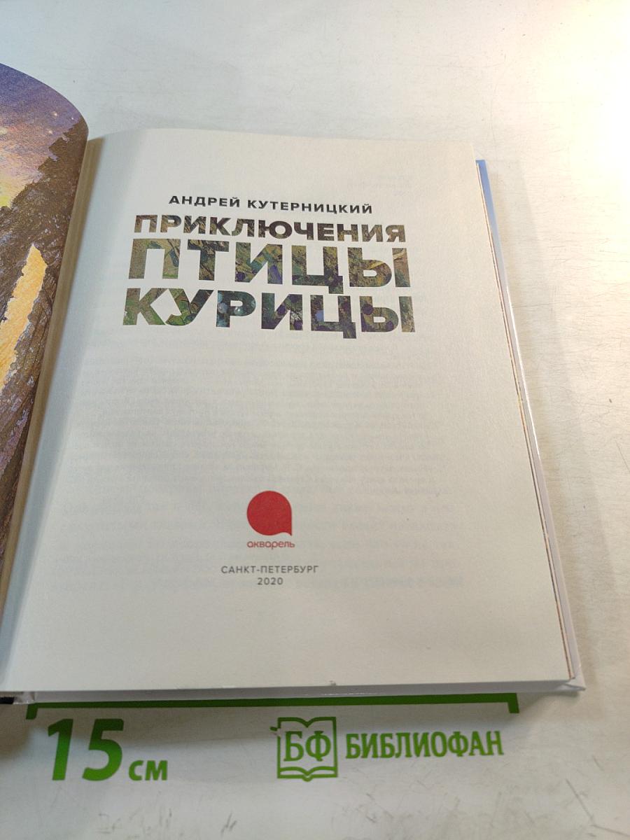 Приключения Птицы Курицы