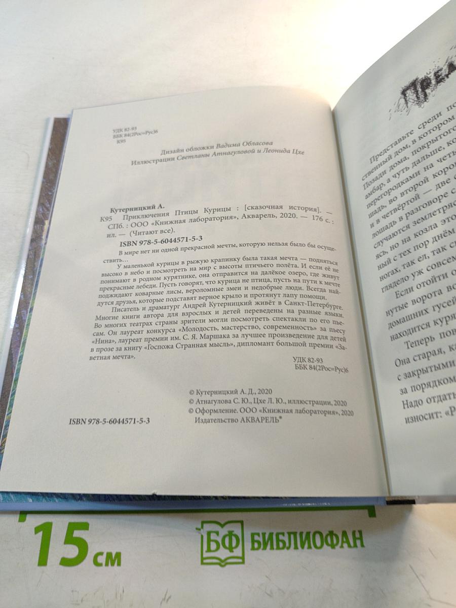 Приключения Птицы Курицы