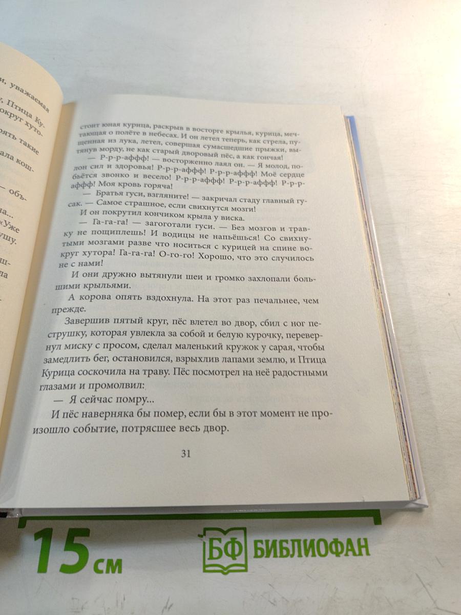 Приключения Птицы Курицы