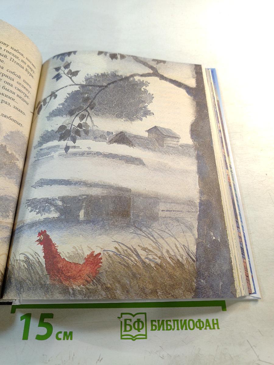 Приключения Птицы Курицы