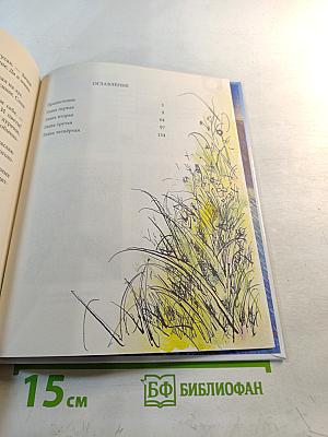 Приключения Птицы Курицы