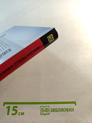 Приключения Птицы Курицы