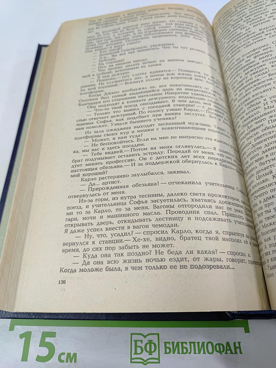 Кузнецкий мост. Книга вторая