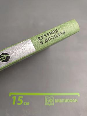 Древняя и молодая