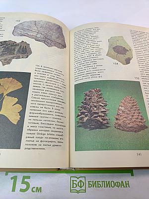 Живое прошлое Земли