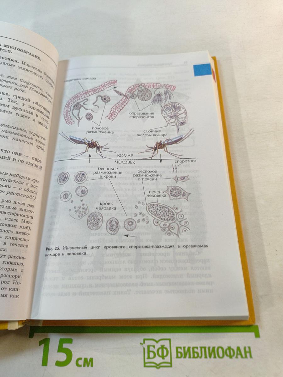 Зоология. Беспозвоночные. 7 класс