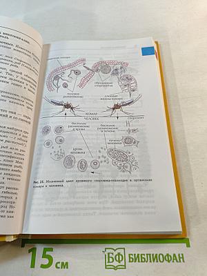 Зоология. Беспозвоночные. 7 класс