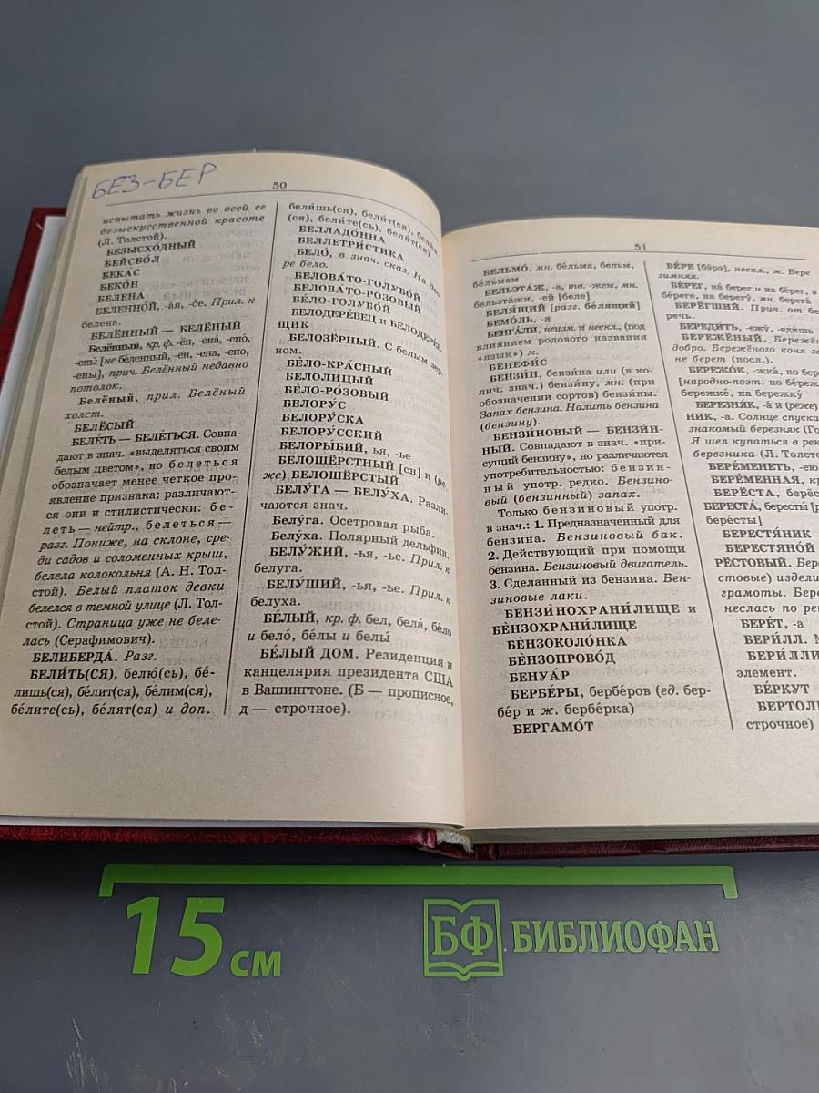 Словарь трудностей русского языка