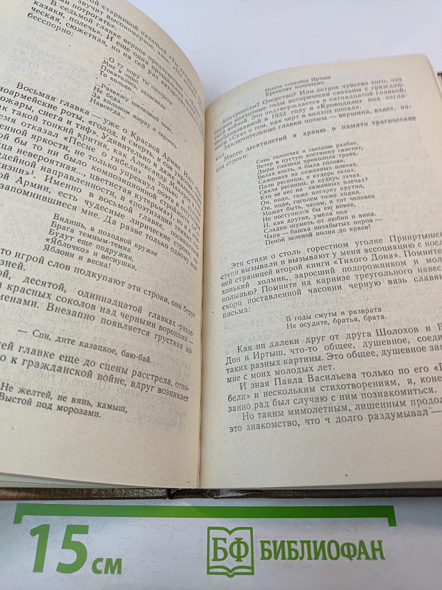 Воспоминания о Павле Васильеве