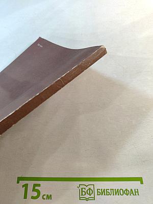 Практикум по методике преподавания русской литературы в национальной школе