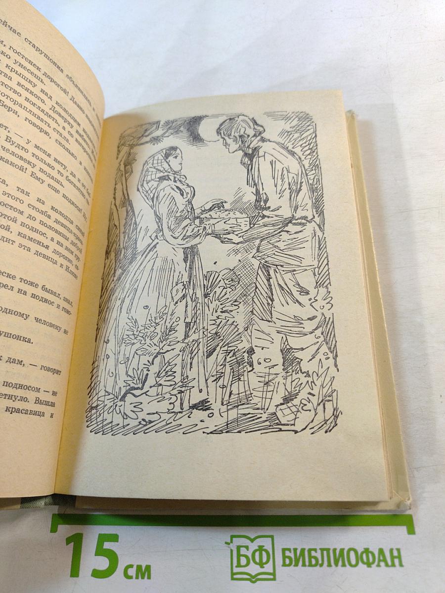 Хрупкая веточка