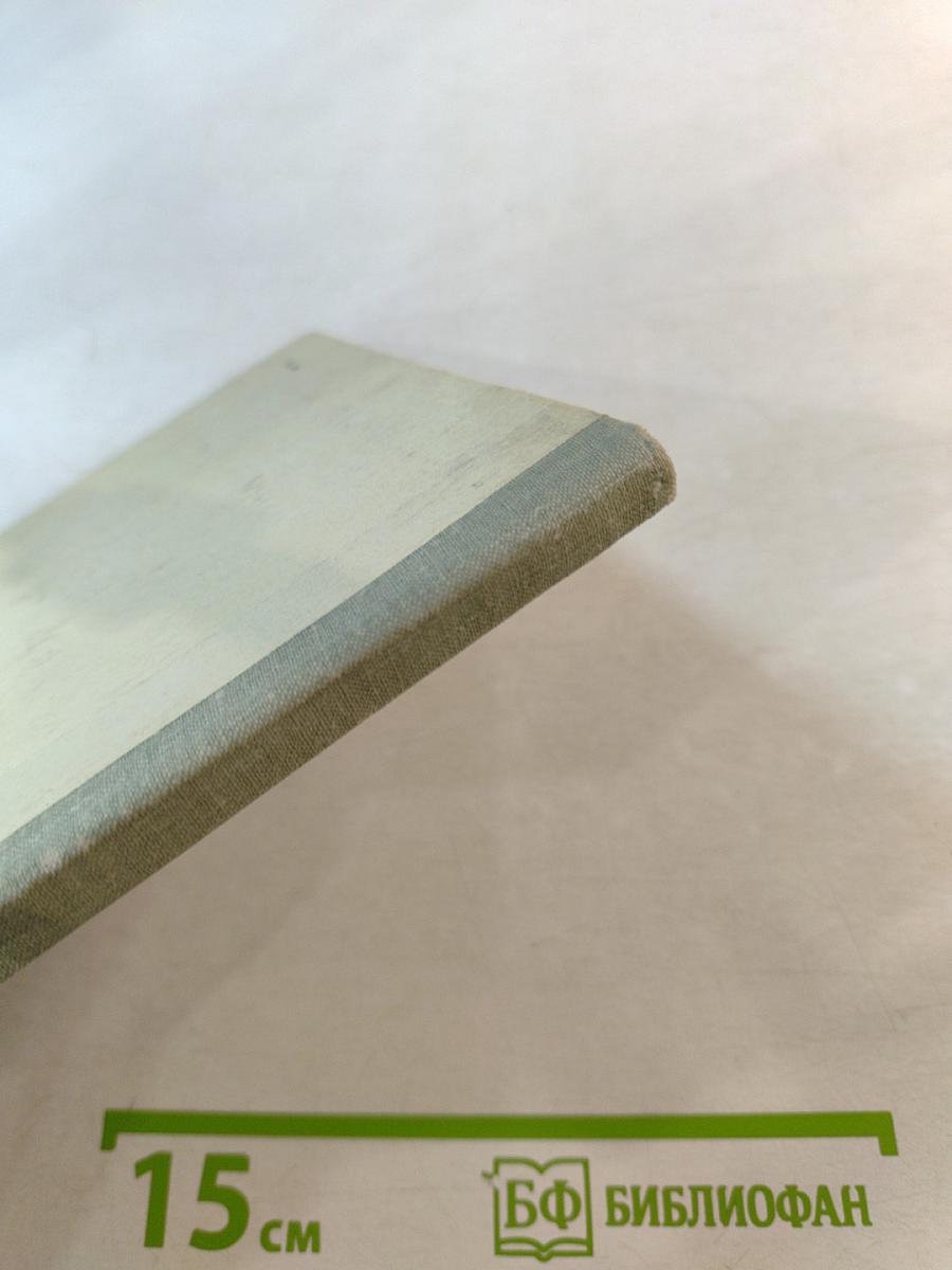 Хрупкая веточка