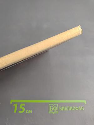 Друзья Мамеда