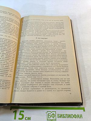 В мире музыкальных инструментов