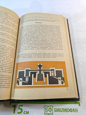 В мире музыкальных инструментов