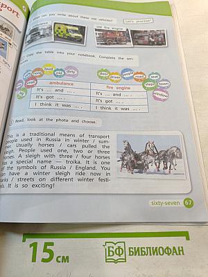 Team up! Английский язык. 4 класс. Часть 2