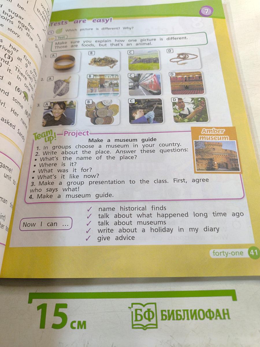 Team up! Английский язык. 4 класс. Часть 2